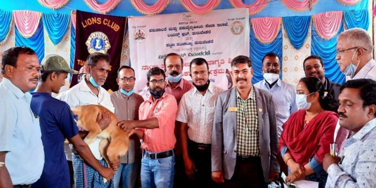 ರೇಬಿಸ್ ಕಾಯಿಲೆ ತಡೆಗೆ ಜಾಗೃತಿ ಅವಶ್ಯ