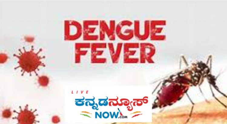 ರಾಜ್ಯದಲ್ಲಿ ಹೆಚ್ಚಿದ ಆತಂಕ : ಒಂದೇ ವಾರದಲ್ಲಿ 293 ಡೆಂಘೀ ಪ್ರಕರಣ ಪತ್ತೆ, ಈ ಲಕ್ಷಣಗಳಿದ್ದರೆ ನಿರ್ಲಕ್ಷ ಬೇಡ