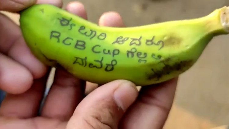 ಆರ್ ಸಿ ಬಿ ಗೆಲ್ಲಲೆಂದು ತೇರಿಗೆ ಬಾಳೆಹಣ್ಣು