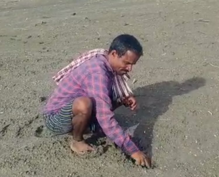 ರಾಜ್ಯದಲ್ಲಿ ಡಿಎಪಿ ರಸಗೊಬ್ಬರ ಕೊರತೆ ರೈತರು ಕಂಗಾಲು
