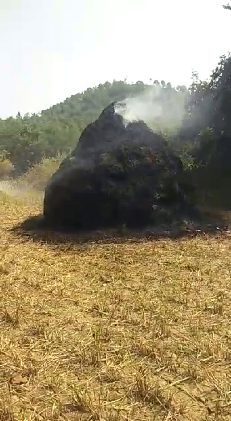 ಬೆಂಕಿಗೆ ಆಹುತಿಯಾದ ಭತ್ತದ ಕಾಳಿನ ಬಣವೆ