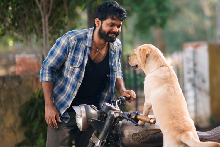 ಥಾಯ್ಲೆಂಡ್ನಲ್ಲಿ 777ಚಾರ್ಲಿ ಕ್ರೇಜ್; ಡಿಸೆಂಬರ್ 1 ಕ್ಕೆ ರಿಲೀಸ್