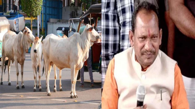 ಗೋಹತ್ಯೆ ಆರೋಪಿಗಳಿಗೆ 2-7 ವರ್ಷ ಜೈಲು ಶಿಕ್ಷೆ: ಸಚಿವ ಚೌಹಾಣ್