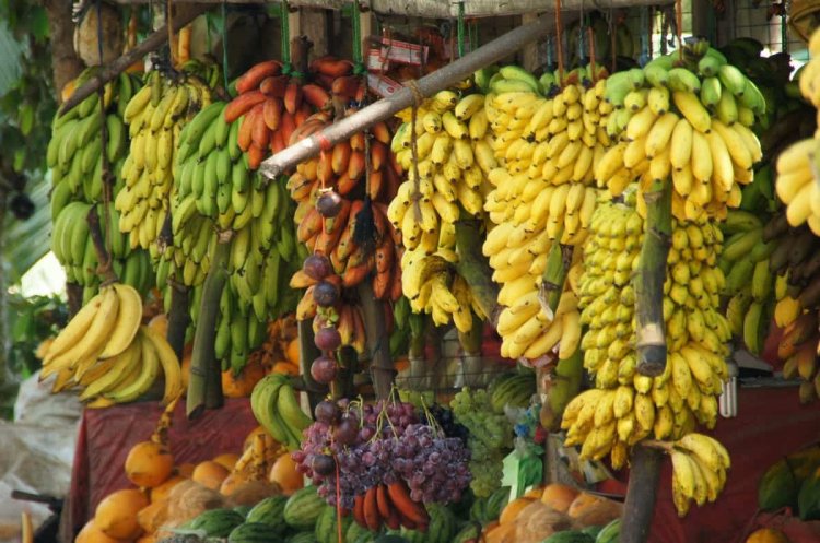 ಜೆಡಿಎಸ್ ನಿಂದ ಬಾಳೆ ಹಣ್ಣು ಭಾಗ್ಯ