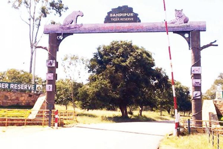 ಬಂಡೀಪುರದಲ್ಲಿ ಸರ್ಕಾರಿ ಶಾಲಾ ಮಕ್ಕಳಿಗೆ ಉಚಿತ ಸಫಾರಿ
