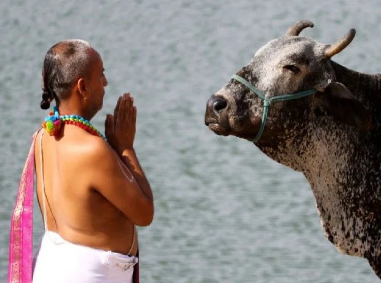 ಪ್ರೇಮಿಗಳ ದಿನದಂದು 'ಹಸು ಅಪ್ಪುಗೆ ದಿನ' ಆಚರಿಸಿ : 'ಕೇಂದ್ರ ಸರ್ಕಾರ' ಆದೇಶ
