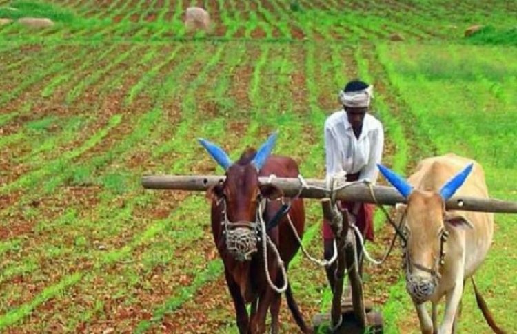 ಬೊಮ್ಮಾಯಿ ಬಜೆಟ್ ನಲ್ಲಿ `ಕೃಷಿ ಕ್ಷೇತ್ರ'ಕ್ಕೆ ಸಿಕ್ಕಿದ್ದೇನು? ಇಲ್ಲಿದೆ ಮಾಹಿತಿ