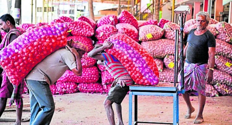 ಒಳನೋಟ | ಈರುಳ್ಳಿ: ಮುಗಿಯದ ಕಣ್ಣೀರು