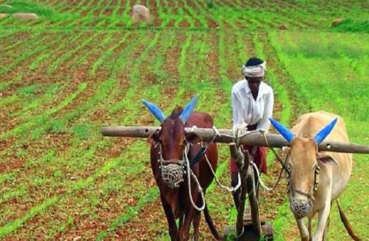 ರೈತರಿಗೆ ಗುಡ್ ನ್ಯೂಸ್ : ಕೃಷಿ ಉತ್ಪನ್ನಗಳ ಸಂಸ್ಕರಣಾ ಸಲಕರಣೆಗಳಿಗಾಗಿ ಅರ್ಜಿ ಆಹ್ವಾನ