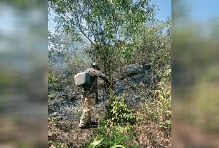 ಉಜಿರೆ ಆಸುಪಾಸು ಮೂರು ಪ್ರದೇಶಗಳಲ್ಲಿ ಬೆಂಕಿ ಅನಾಹುತ